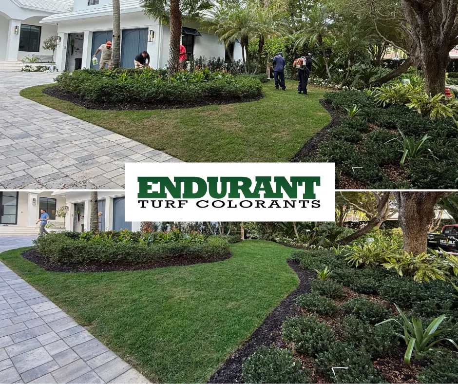 Jardín comercial tratado